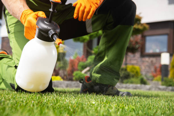 Best Affordable Pest Control Services  in Leland, MS