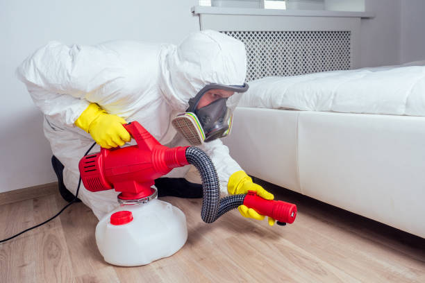 Best Mosquito Control Services  in Leland, MS