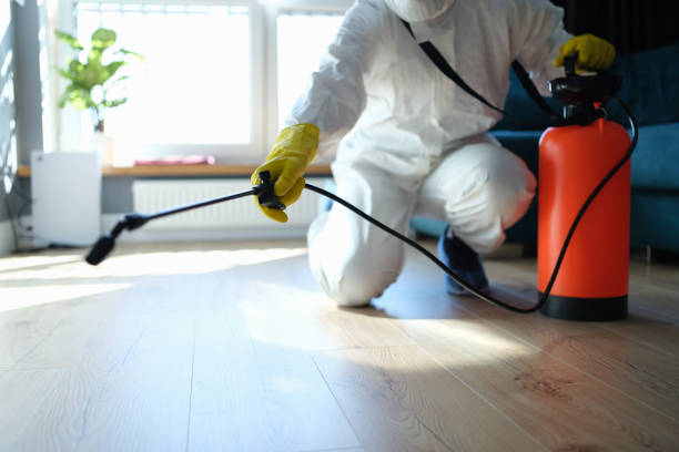 Best Local Pest Control Services  in Leland, MS