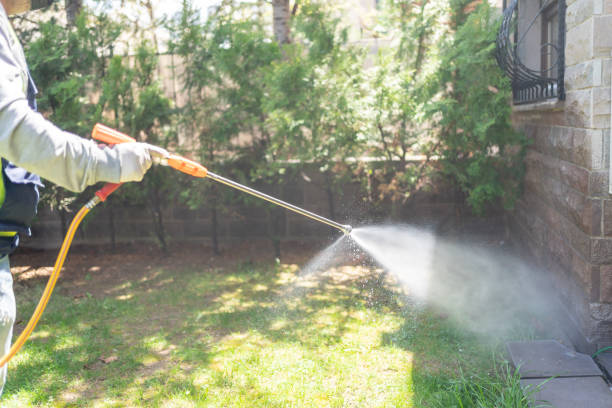 Best Rodent Control Near Me  in Leland, MS